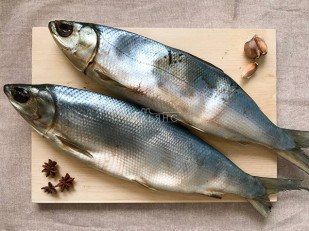 Лаваш со вкусом чеснока: Сиг вяленый